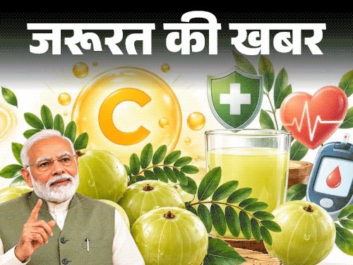 जरूरत की खबर- PM मोदी ने बताए आंवले के गुण:विटामिन C का पावरहाउस, विटामिन A का खजाना, डाइटीशियन से जानें खाने का सही तरीका
