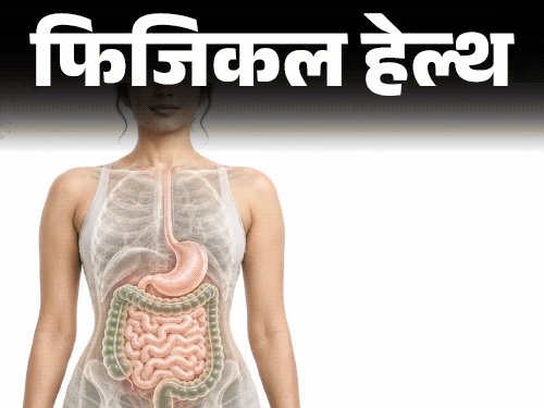 फिजिकल हेल्थ- लीकी गट क्या है:क्यों कमजोर होता आंतों का सुरक्षा बैरियर, डॉक्टर से जानें इसके लक्षण, इलाज और जरूरी सावधानियां