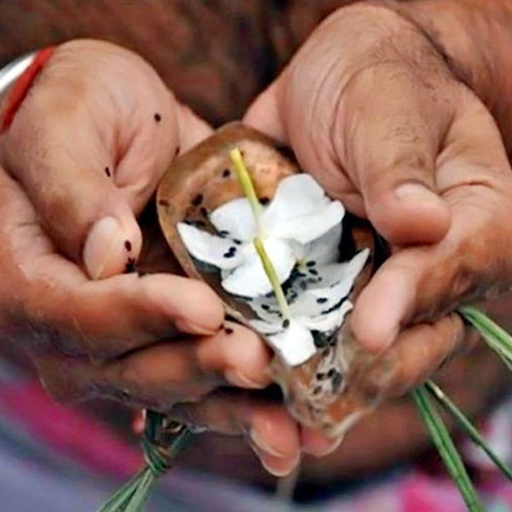 भाद्रपद पूर्णिमा आज और 10 अक्टूबर तक रहेगा पितृ पक्ष:पितरों के लिए श्राद्ध-तर्पण करने से घर-परिवार में बनी रहती है सुख-समृद्धि, जानिए किस तिथि पर किसका श्राद्ध करें