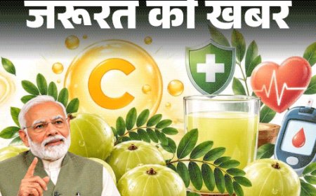 जरूरत की खबर- PM मोदी ने बताए आंवले के गुण:विटामिन C का पावरहाउस, विटामिन A का खजाना, डाइटीशियन से जानें खाने का सही तरीका