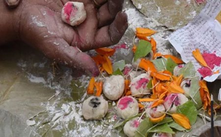 पितृ पक्ष 10 अक्टूबर तक:परंपरा- क्या आप जानते हैं पितरों को अंगूठे की ओर से ही जल क्यों चढ़ाते हैं?