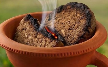 भाद्रपद मास की अमावस्या आज और कल:आज दोपहर करें पितरों के लिए धूप-ध्यान, जानिए धूप-ध्यान के लिए जरूरी चीजें और विधि