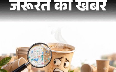 जरूरत की खबर- पेपर कप में चाय-कॉफी, सूप न पिएं:उसमें छिपे माइक्रोप्लास्टिक से 7 गंभीर हेल्थ रिस्क, कांच या स्टील का कप ही बेहतर