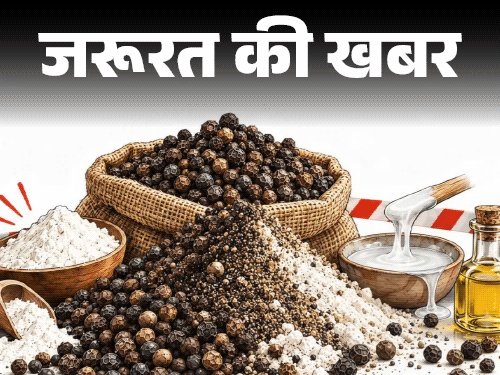 जरूरत की खबर- 1200 किलो मिलावटी काली मिर्च जब्त:मैदा, गोंद और तेल से बन रहा ब्लैक पेपर, घर पर ऐसे करें असली–नकली की पहचान