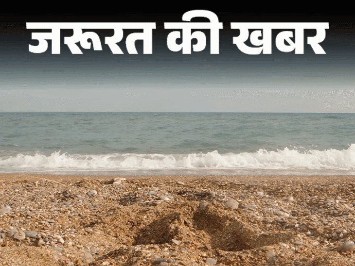 जरूरत की खबर- कीवी के 12 हेल्थ बेनिफिट्स:पाचन बेहतर बनाए, ब्लड शुगर कंट्रोल रखे, डॉक्टर से जानें किन्हें सावधानी बरतनी चाहिए
