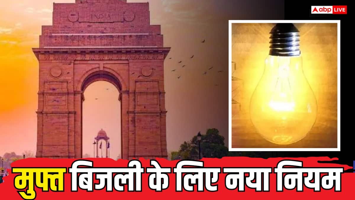 दिल्ली में बिजली पर सब्सिडी: आधार वैरिफिकेशन के लिए कब शुरू होगा पोर्टल?