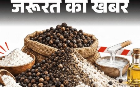 जरूरत की खबर- 1200 किलो मिलावटी काली मिर्च जब्त:मैदा, गोंद और तेल से बन रहा ब्लैक पेपर, घर पर ऐसे करें असली–नकली की पहचान