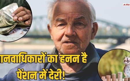 रिटायर्ड प्रोफेसर को 12 साल से नहीं मिली पेंशन, मानवाधिकार आयोग ने दिया अल्टीमेटम