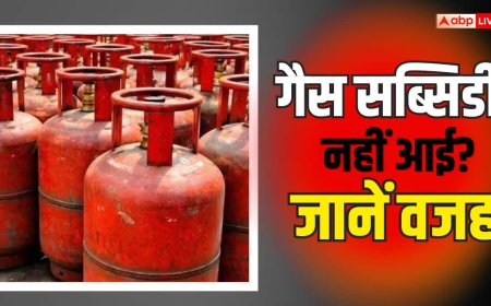 LPG सब्सिडी का पैसा नहीं आया? घर बैठे पता करें कहां अटका है पेमेंट