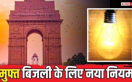 दिल्ली में बिजली पर सब्सिडी: आधार वैरिफिकेशन के लिए कब शुरू होगा पोर्टल?
