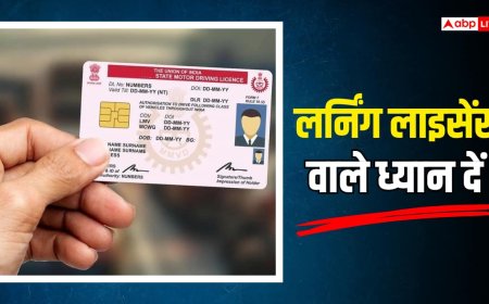 लर्निंग लाइसेंस पर अकेले गाड़ी चलाई तो भरना पड़ेगा चालान? जानें नियम